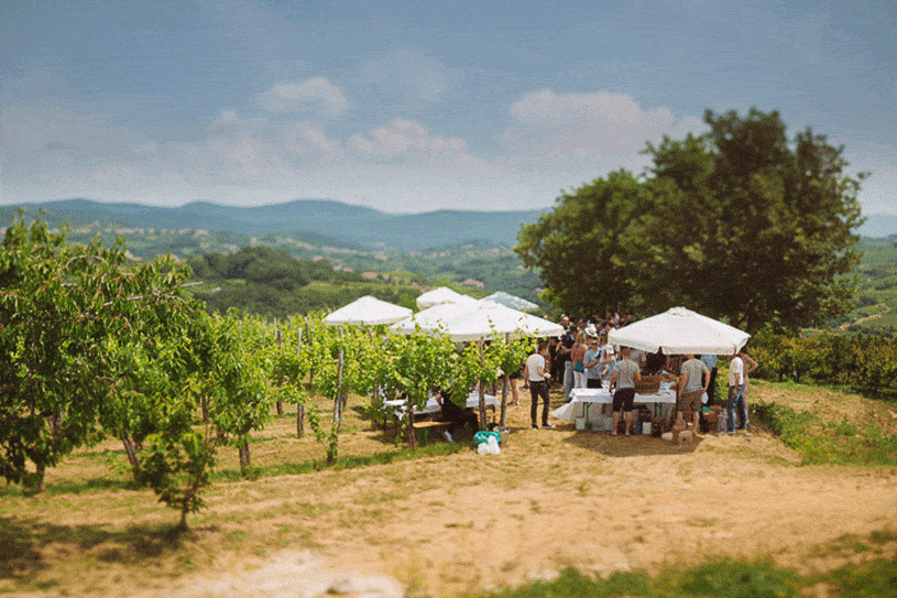 Multi-day wedding starts in the Brda region in Slovenia with a vineyard picnic.